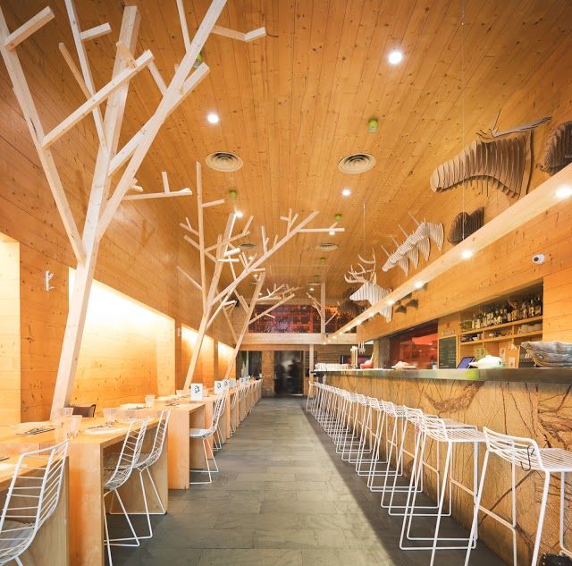 Restaurante Vuelve Carolina